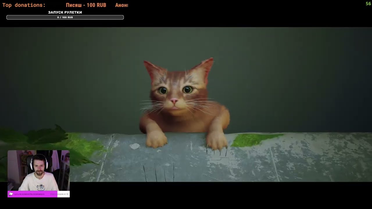 Stray прохождение #1