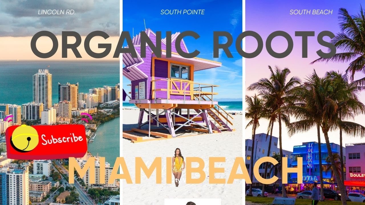 Organic Roots| Shayla Vega | Miami Beach| 10 12 25
