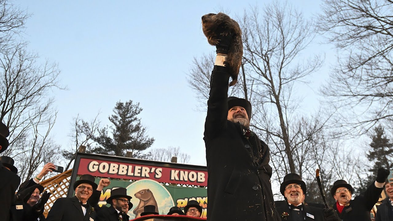 Groundhog Day: Punxsutawney Phil sees his shadow