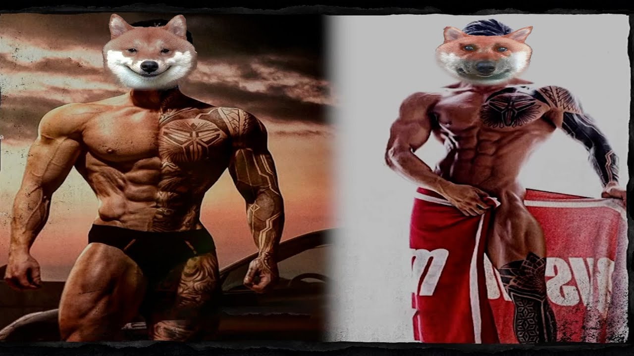 Dawg ЖЕСТКО ХАЙПИТ и Смотрит 