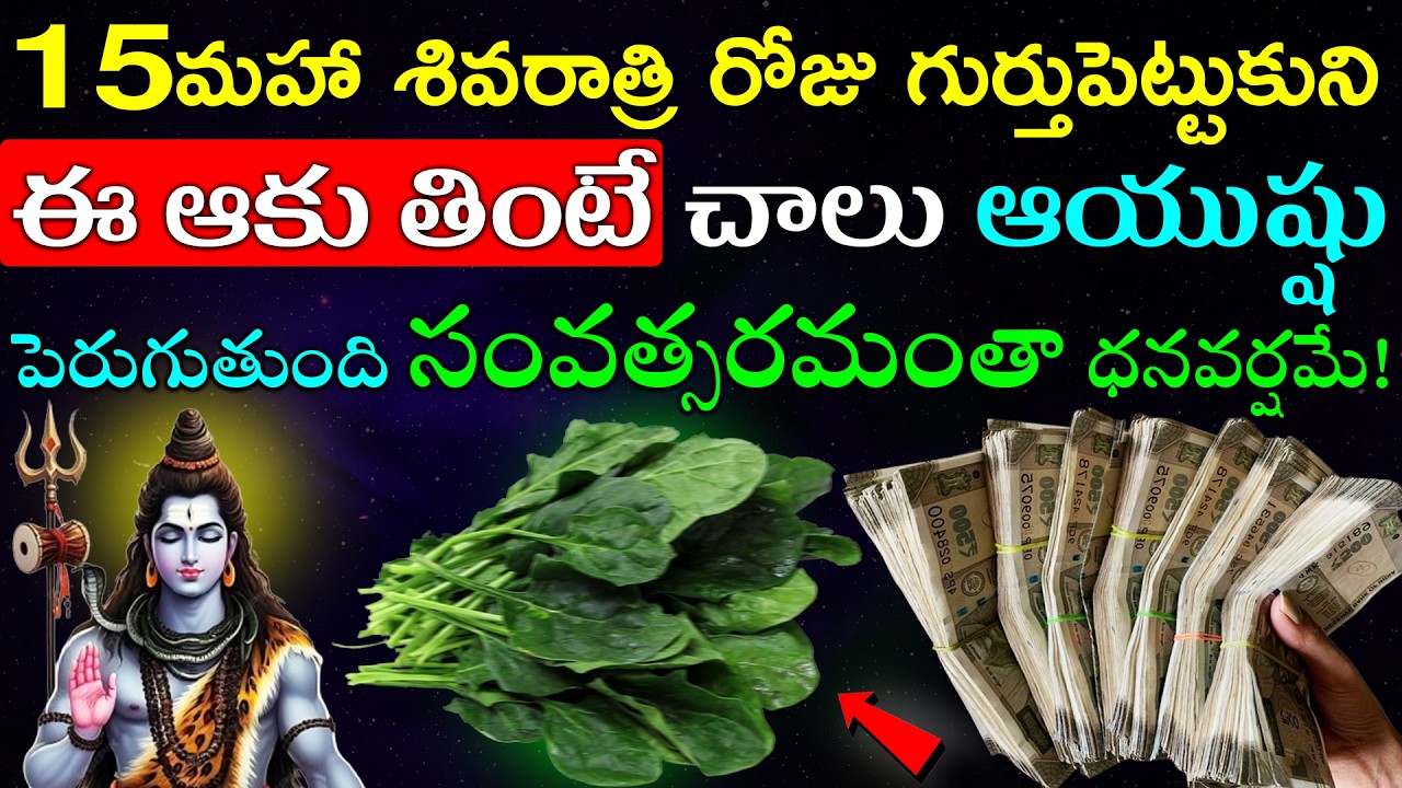 15మహా శివరాత్రి రోజు గుర్తుపెట్టుకుని ఈ ఆకు తింటే చాలు ఆయుష్షు పెరుగుతుంది సంవత్సరమంతా ధనవర్షమే!