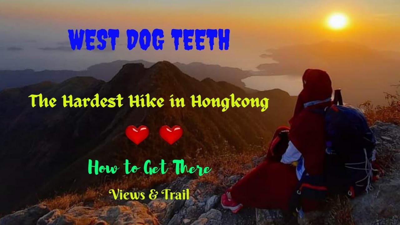West Dog Teeth THE Hardest Hike in  Hong Kong ( How to Get There)