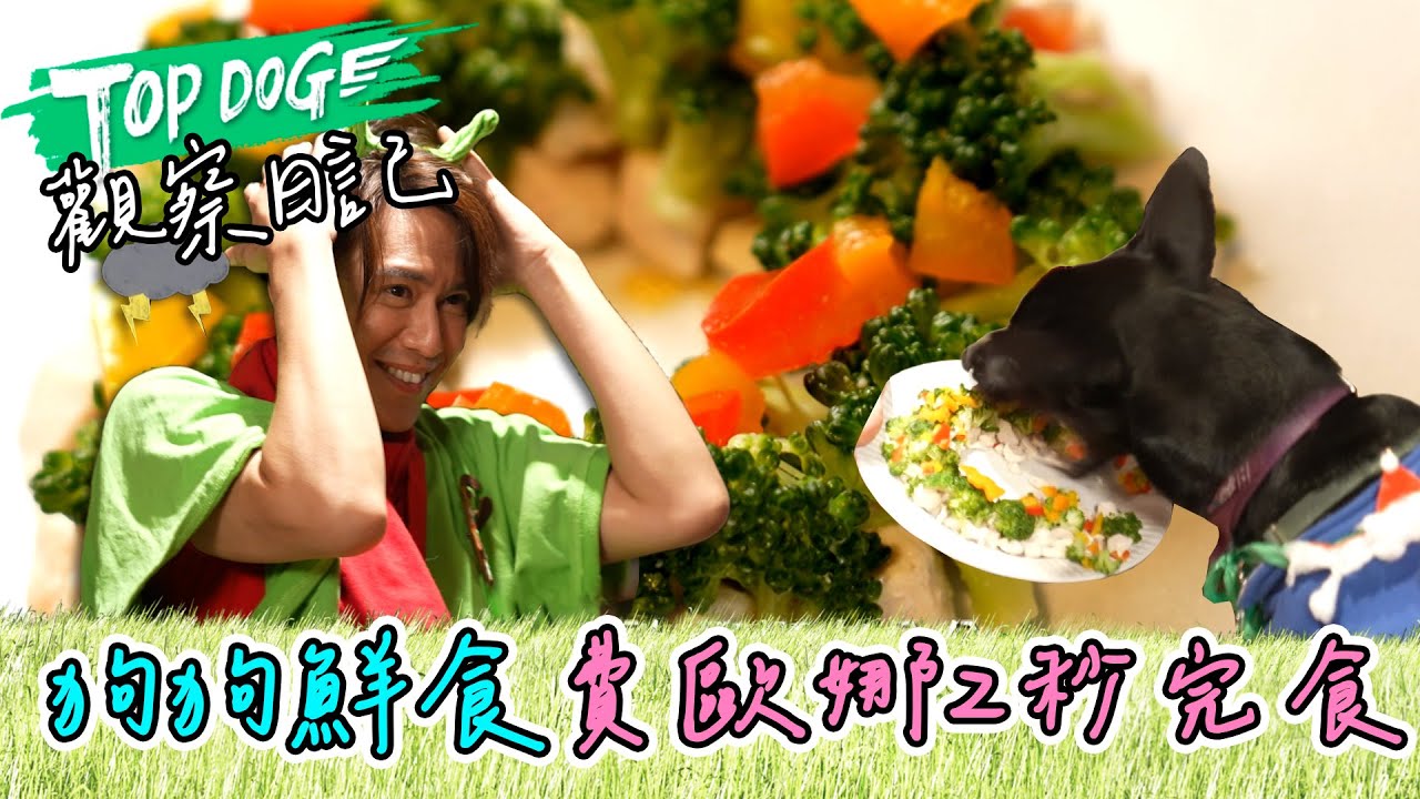 TOPDOG 觀察日記｜費歐娜的爆食行為🍖 陳楚河崩潰了！ @topdoghome