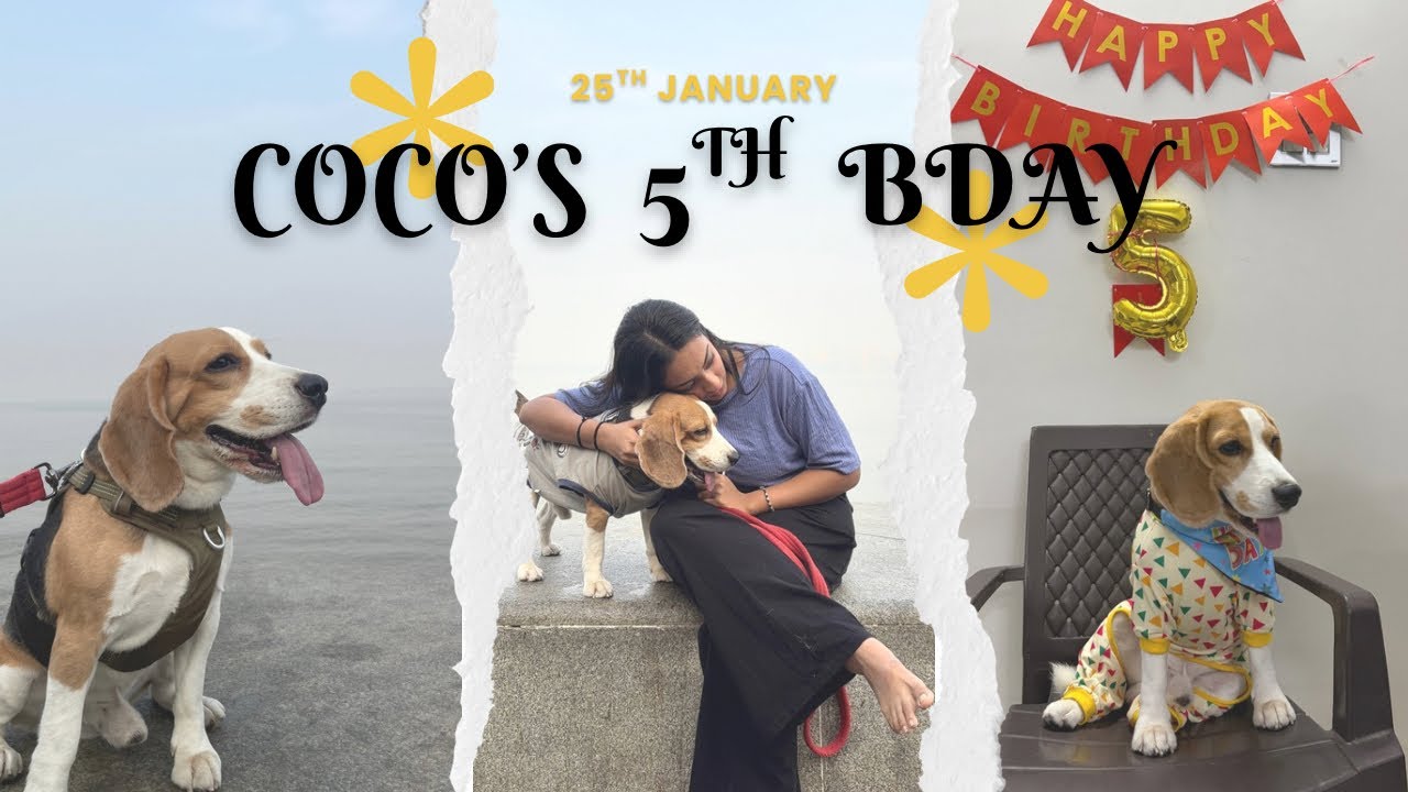 Coco turns 5!🥳🤍 | PARI BHAGAT