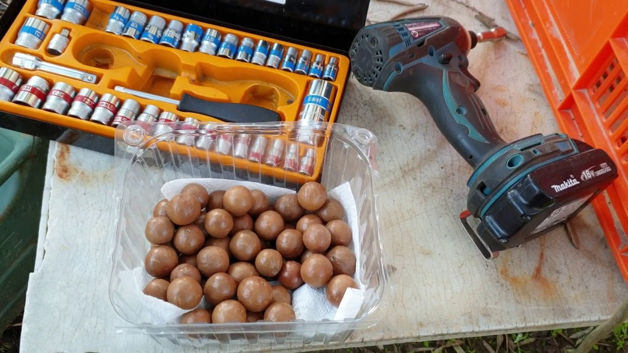 שובר אגוז מקדמיה .0528116888