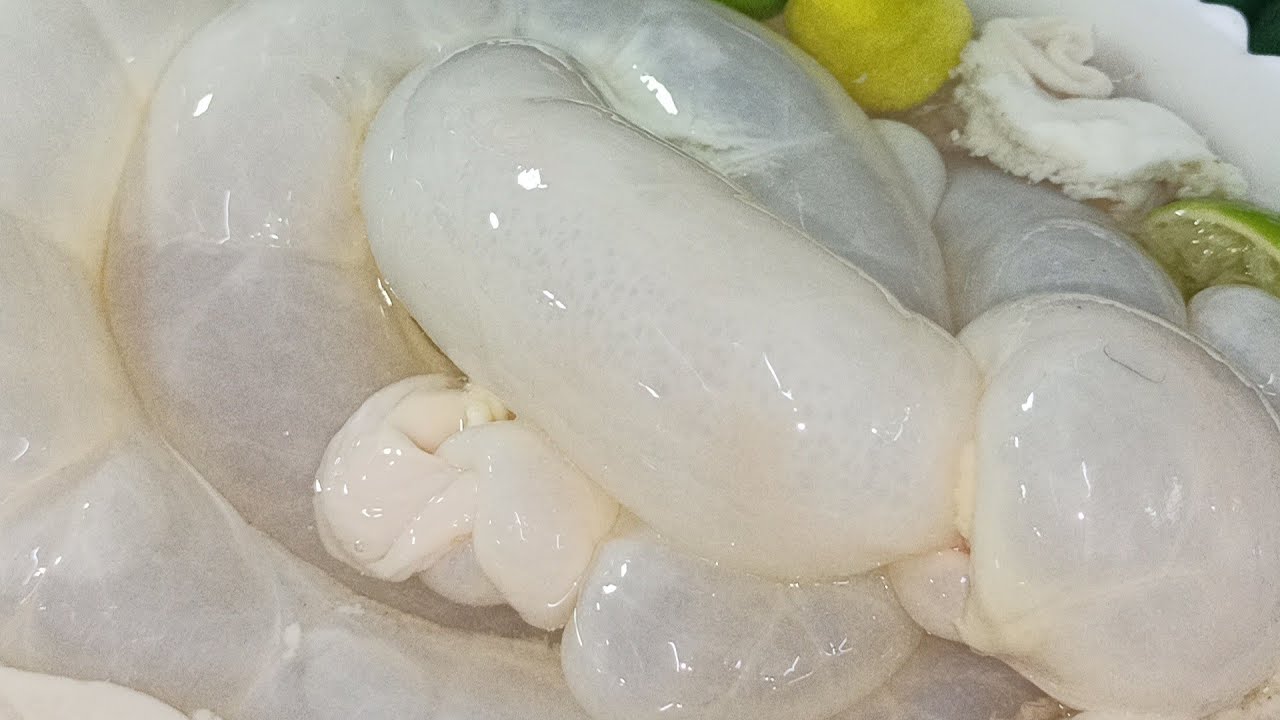 لأول مرة على اليوتيوب  تنظيف الممبار بطريقة متخطرش على بال العفريت 🤔🤔😂😂🤭🤭