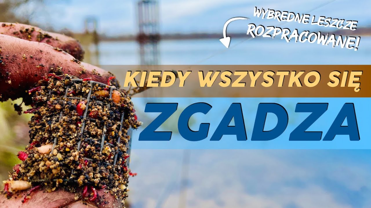 [145] Leszcze jak z równania. 🧮➗Ostatnie łowienie przed lodem. 🥶☃️⛸️