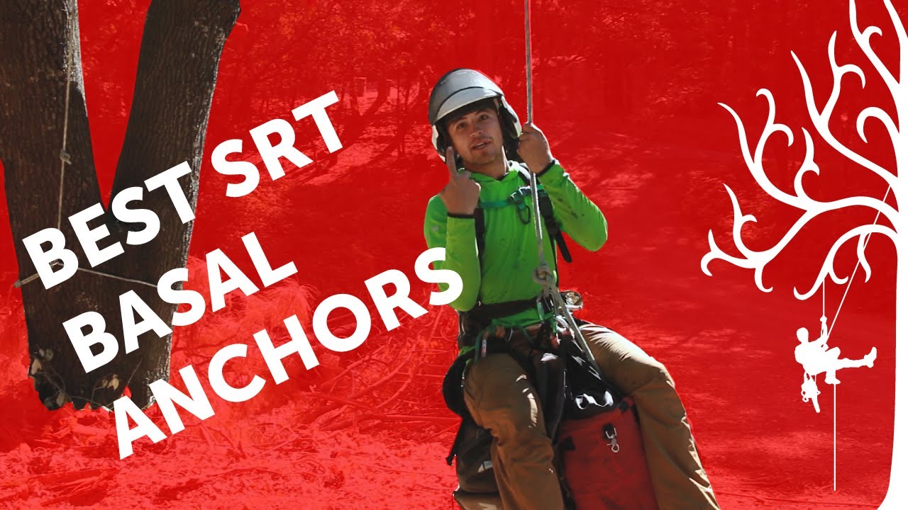 3 Best Basal Anchors | the BEST ways to anchor SRT access line around base of tree | arborist review