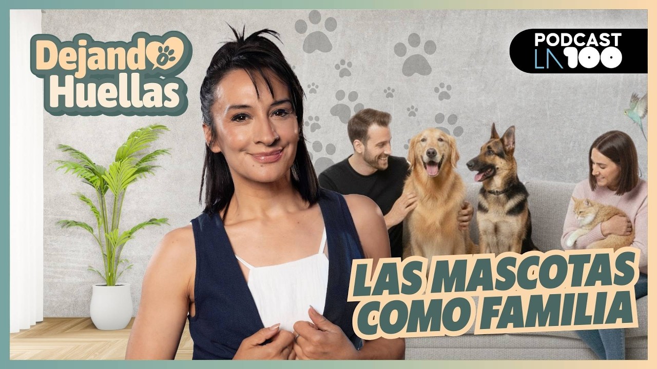 🐾 ANIMALES DOMÉSTICOS 🐾 Todo lo que tenés que saber para cuidarlos mejor