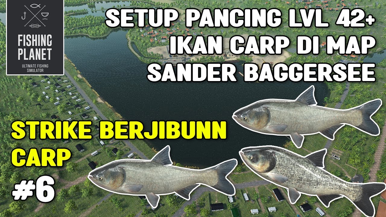 SETUP PANCING SILVER CARP LVL 42+ DI SANDER BAGGERSEE LAKE | FISHING PLANET (Bahasa)