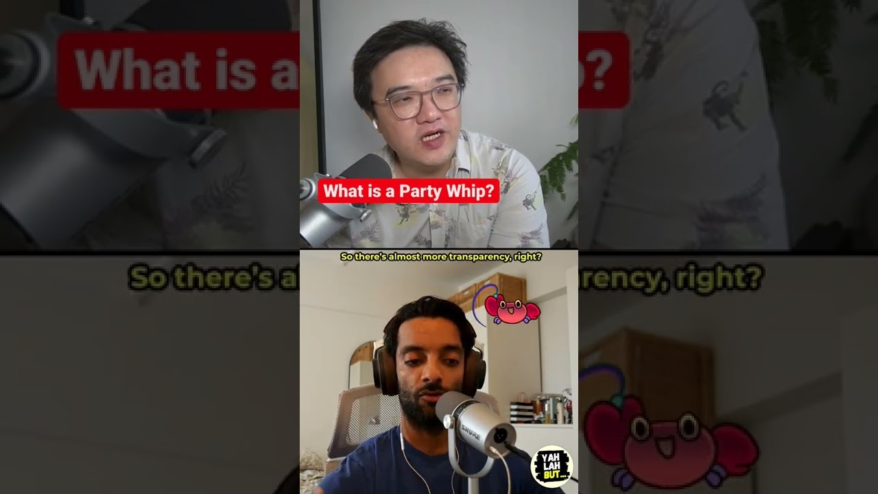 Party Whips Explained From #YLB #345#singapore #politics #377a #repeal #whip#wp #pap