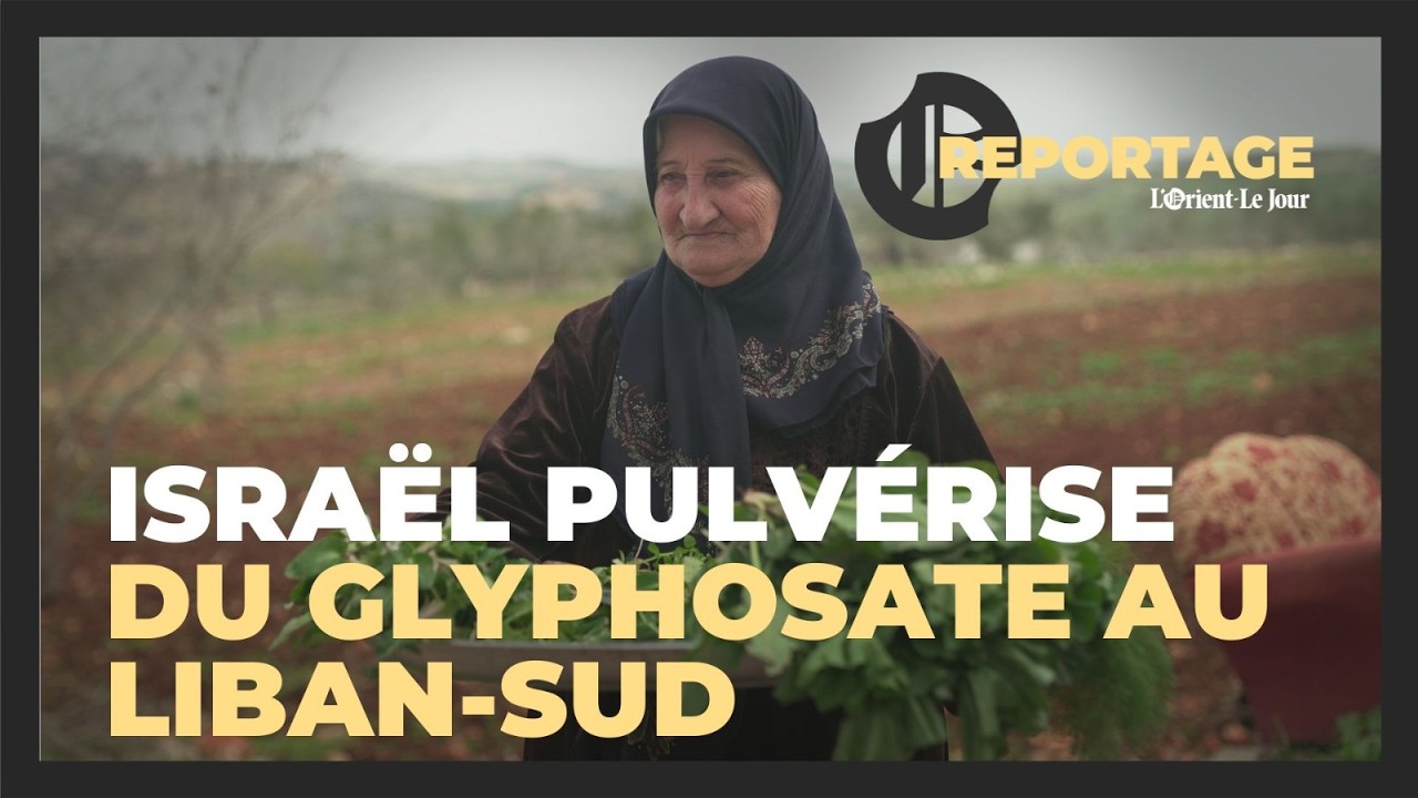 Israël pulvérise du glyphosate au Liban-Sud : les habitants témoignent