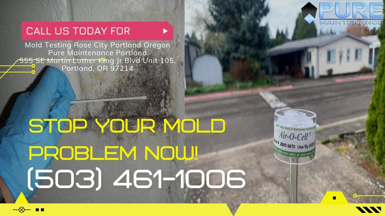 Mold Testing Rose City Portland Oregon - Pure Maintenance Portland - (503) 461-1006