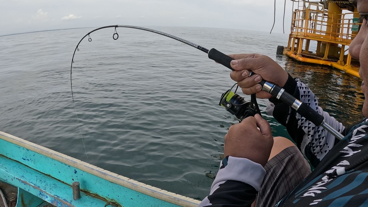 tarikan ikan penghuni pengeboran bikin candu coyy