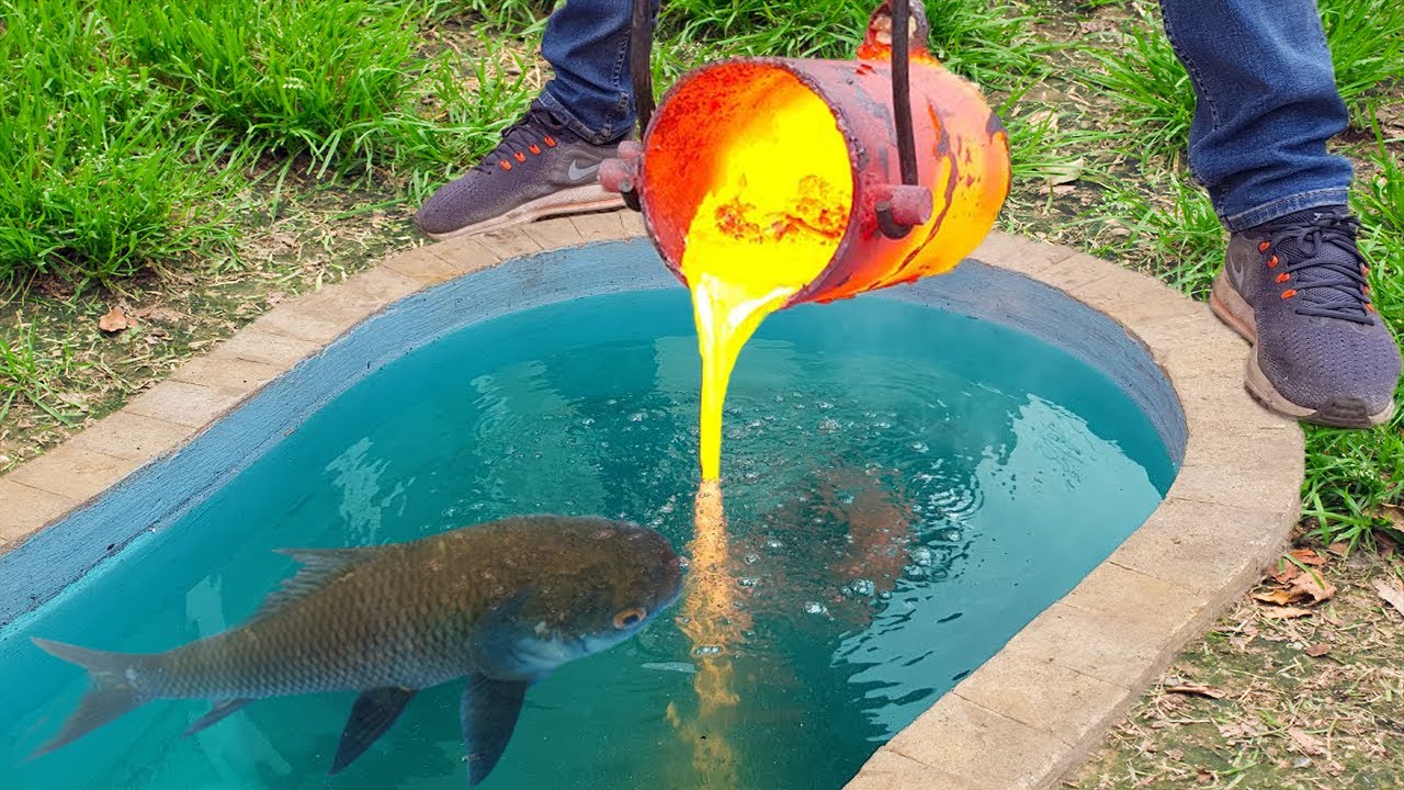 Experiment : Lava vs Fish Herring in Underground Pool