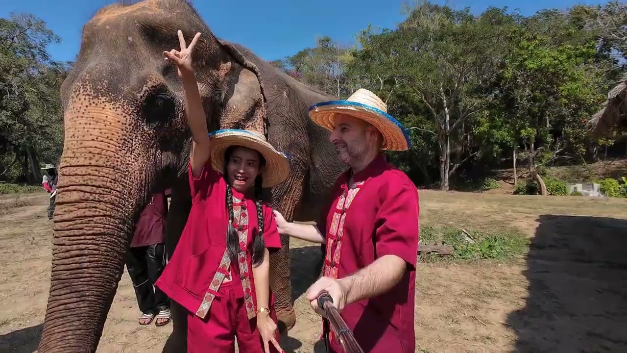 THAILAND 2024. Elephant Rescue Park Chiang Mai