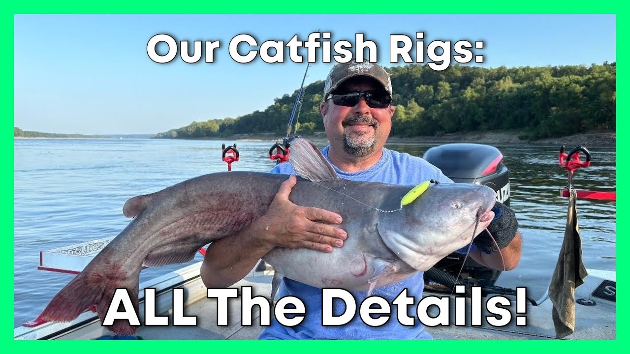 How We Tie Our Catfish Rigs: All The Secrets In One Video!
