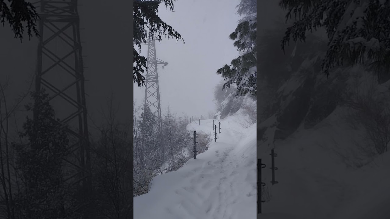 Pipeline Track Nathia Gali Winter | Snowfall | Ayubia National Park | Travel