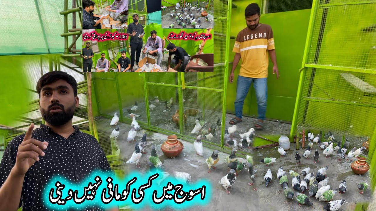 Asooj Main Kesi Ku Mafi Nahi Deni 😮