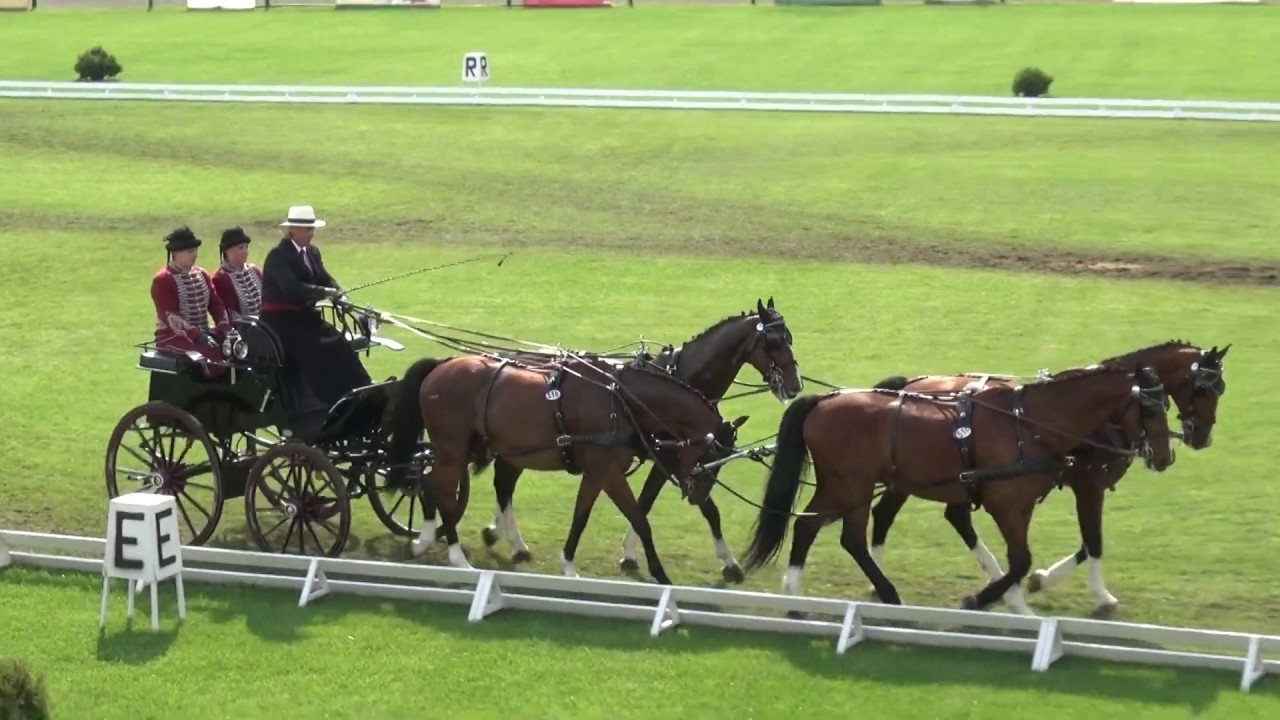 Lázár Zoltán - CAN-A, H4, Mezőhegyes, díjhajtás/dressage, 2020. július 3.
