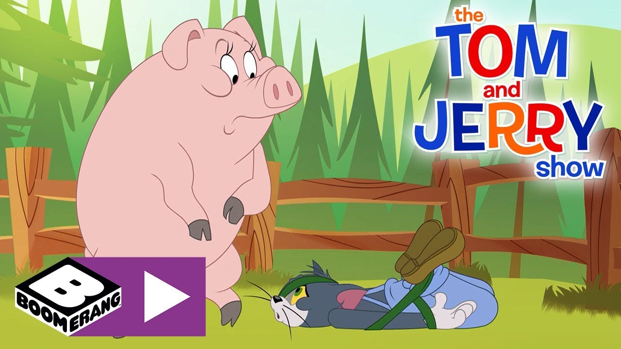 The Tom and Jerry Show | Pig Ties Up Tom | Boomerang UK