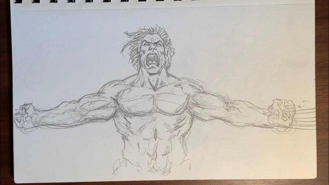 Darick Robertson Sketchbook - Wolverine , X-Men, Batman