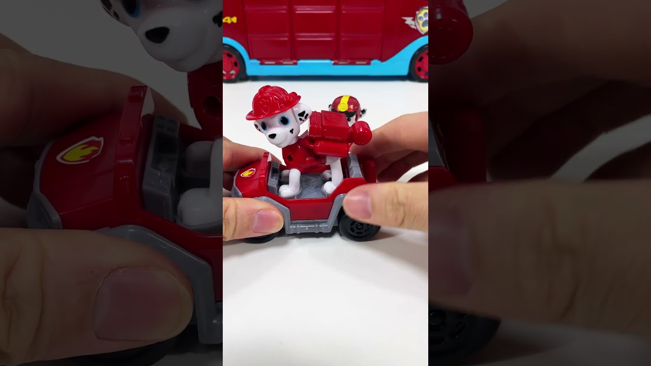 Relaxing Unboxing Paw Patrol Toys Collection for American Collectors 🇺🇸  
