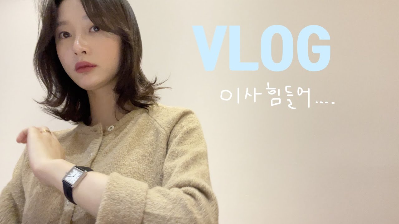 [vlog]서울로 이사가는 브이로그(정리 지옥../머리도 했어용/오토김밥 닭강정❤️/이사하고 야근하는 k직장인/고인돌 옛날돈까스/신화불닭 심각하게 매움/카페 마실/시바견 택이)