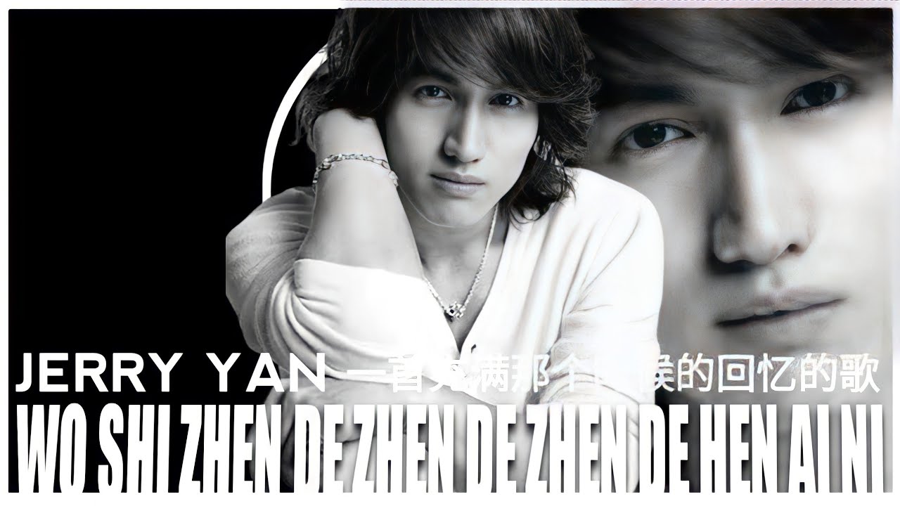 JERRY YAN - WO SHI ZHEN DE ZHEN DE ZHEN DE HEN AI NI | KARAOKE | LYRICS