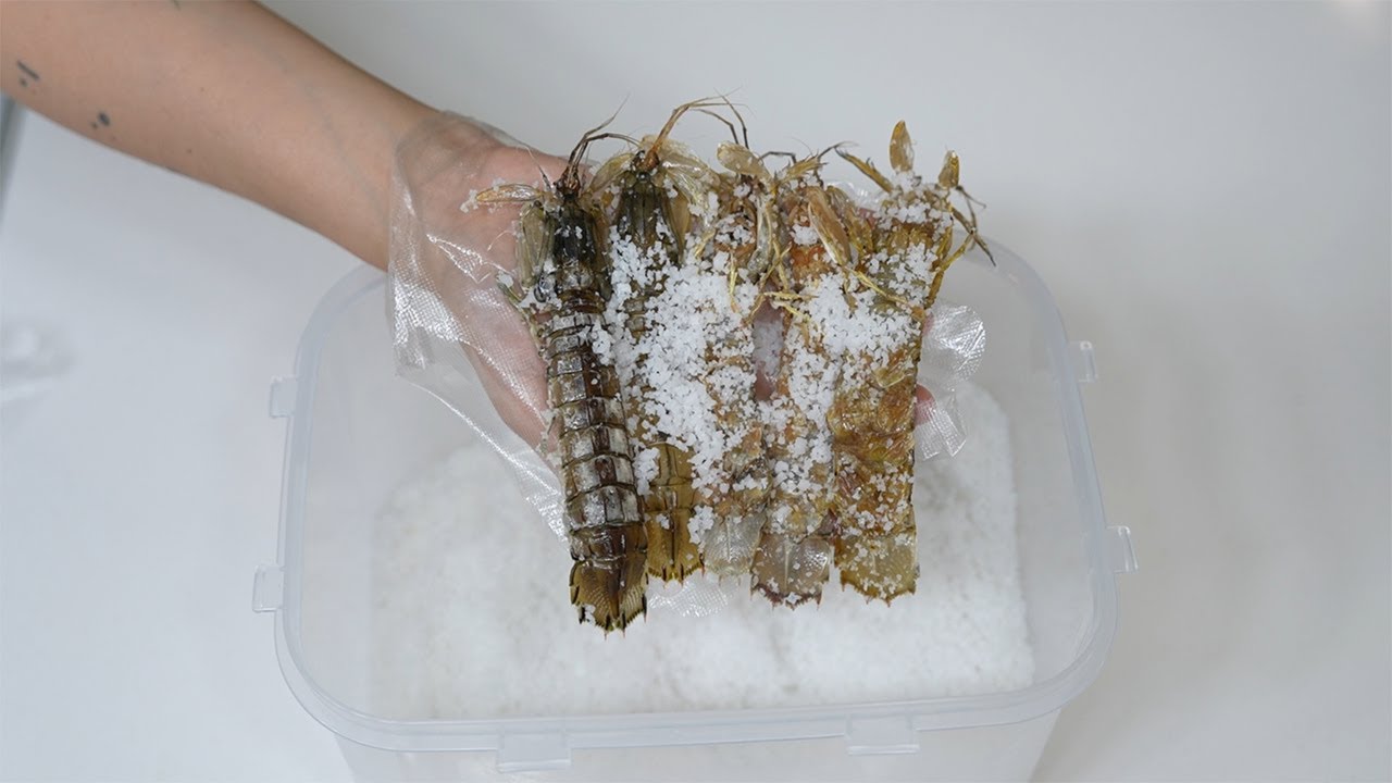 100시간 동안 소금에 절여서 만든 소금갯가재장을 먹어보겠습니다