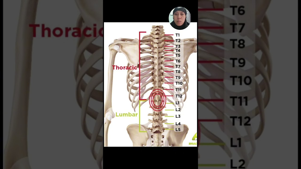 Thoracolumbal Fascia Pain
