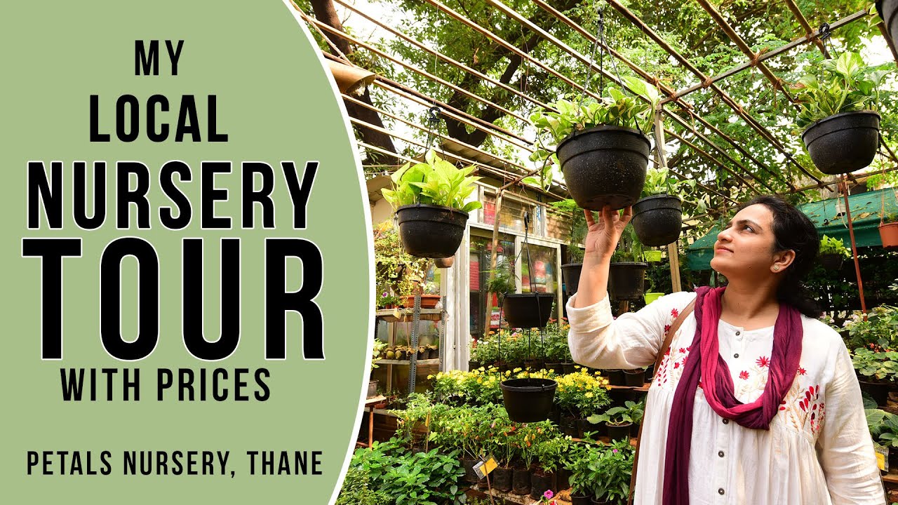 My local Nursery tour (Prices included) | Petals Nursery Thane #nurserytour  #plantprices2021