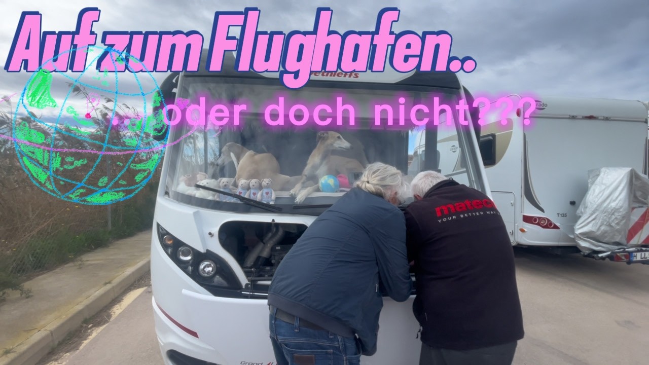 Es geht Richtung Alicante 🚐🇪🇸 #travelvlog #rescuedog #alicante