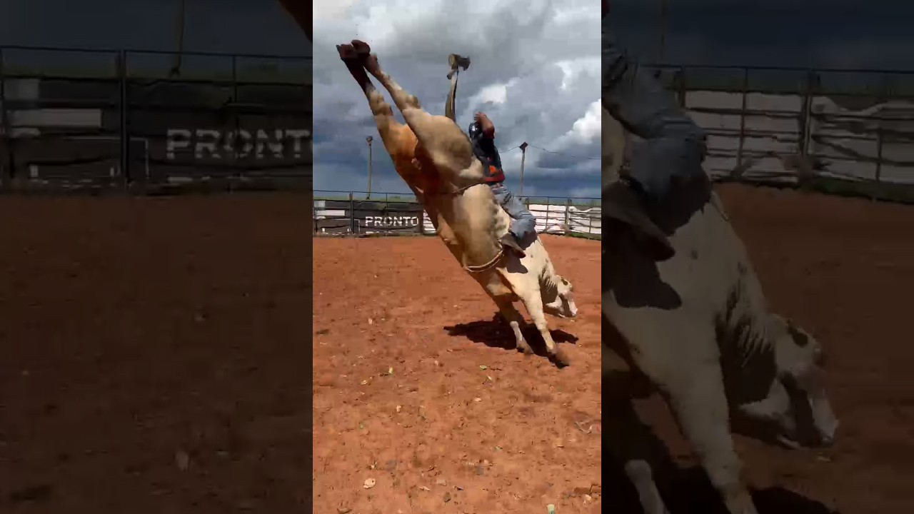 TREINO DE RODEIO DO COMPETIDOR 