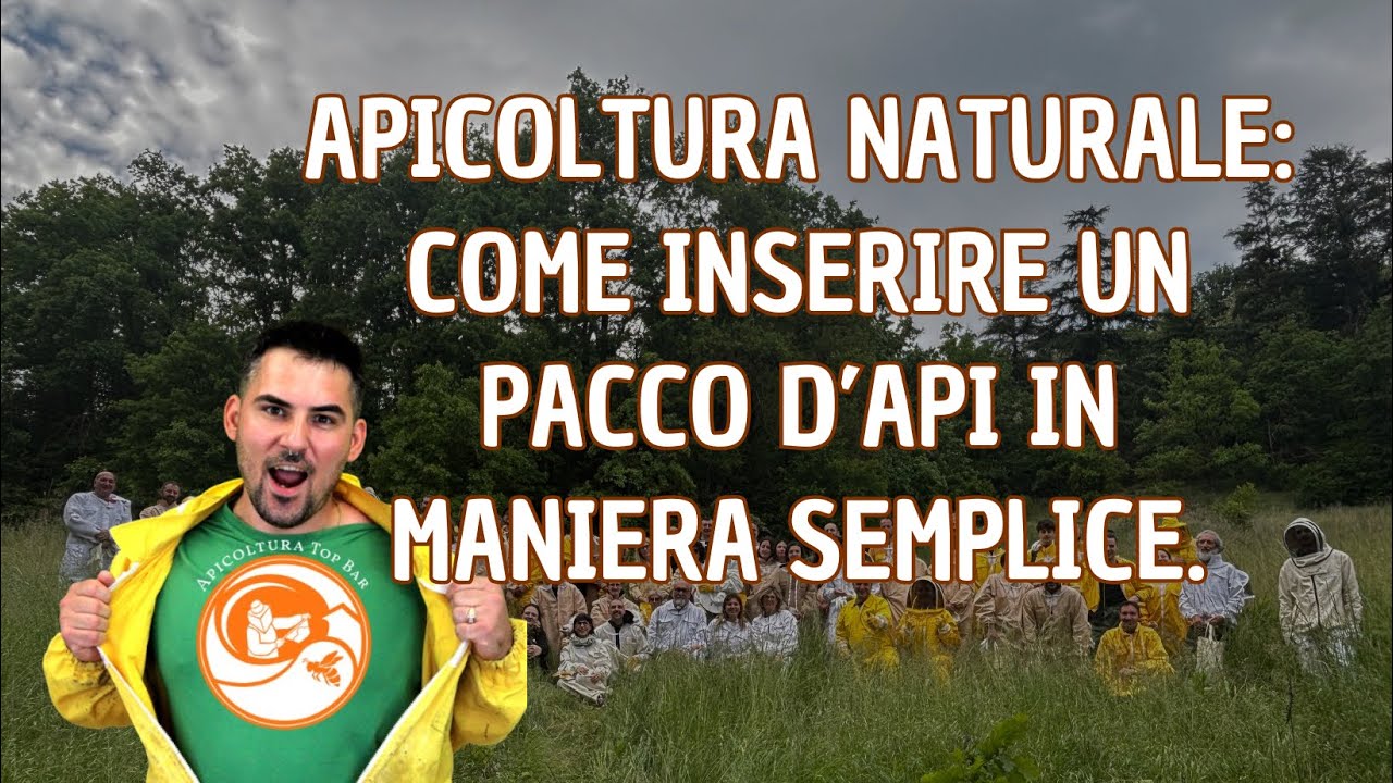 Apicoltura Naturale: Come inserire un pacco d’api in maniera semplice.