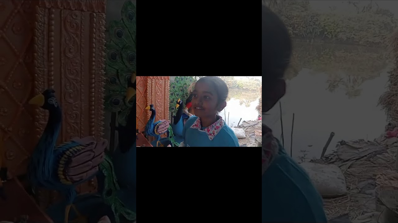 ✨ বাড়ির সরস্বতী ঠাকুর আনতে যাওয়ার কিছু মুহূর্ত ✨