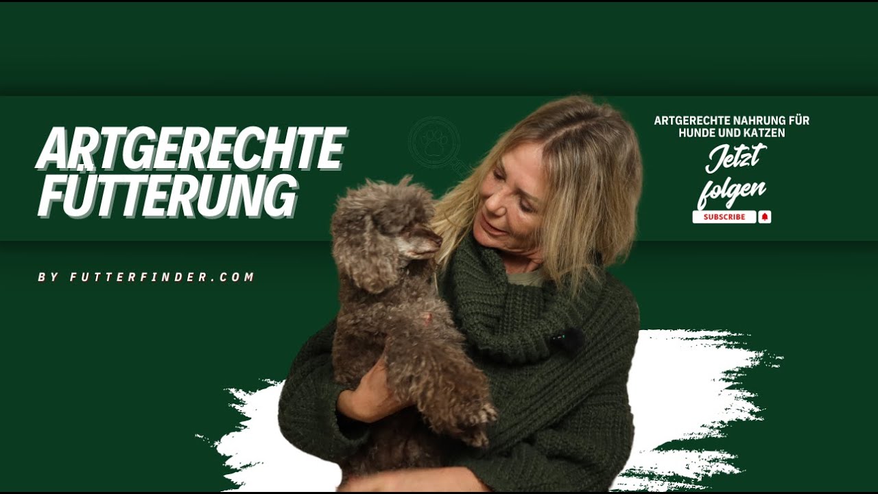 Hundefutter, Katzenfutter & die Wahrheit dahinter