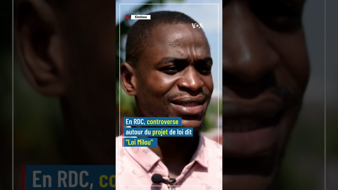 🇨🇩 RDC: faut-il bannir la consommation de viande de chien?