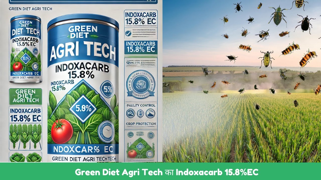 Indoxacarb 15.8% EC by Green Diet Agri Tech