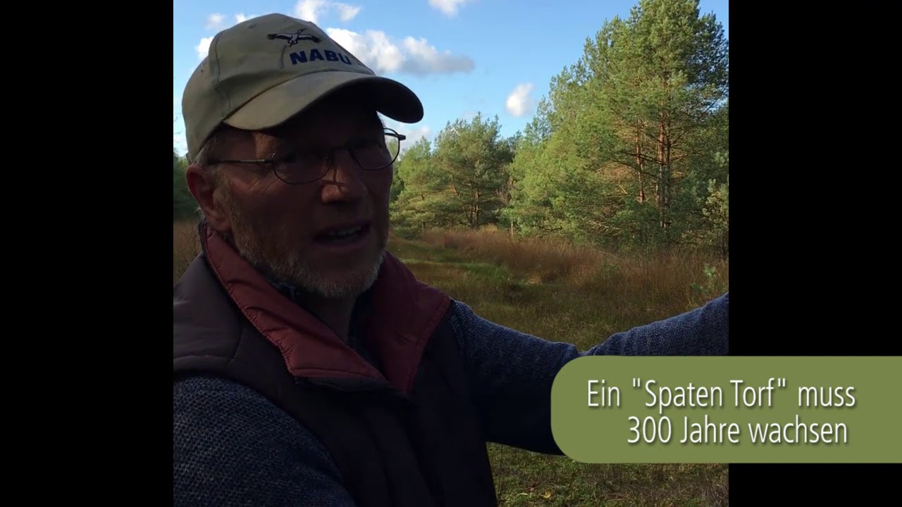 Besuch im Hamberger Moor - Wundersame Torfmoose