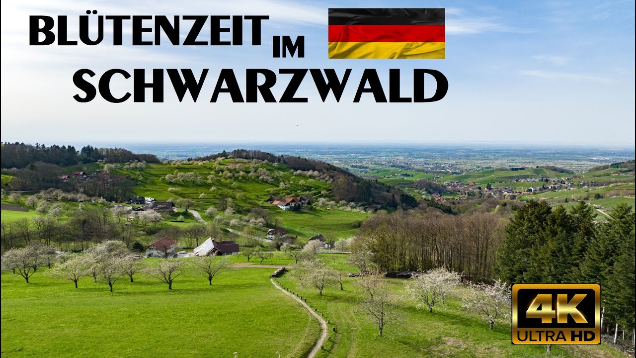 Schwarzwald in seiner Bl&uuml;tenzeit - Sasbachwalden - 4K UHD
