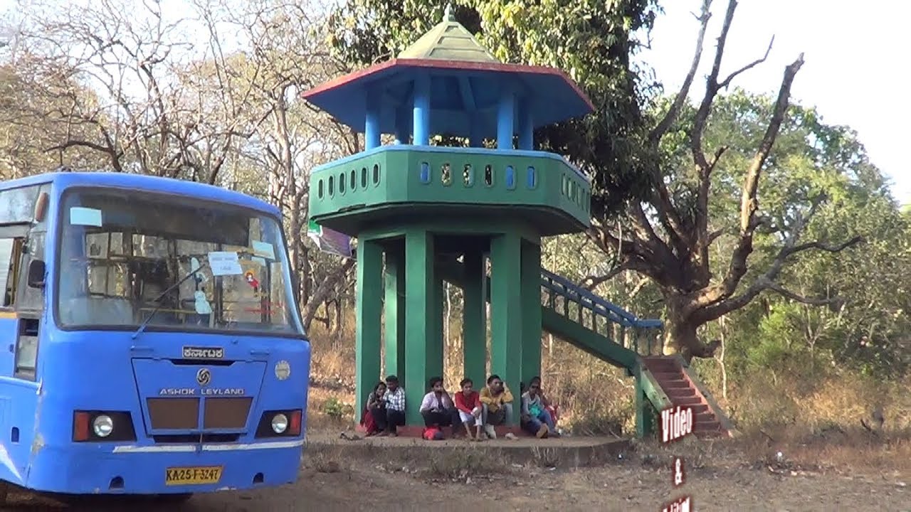 Kavala Caves,Dandeli, Mahashivaratri 2019,