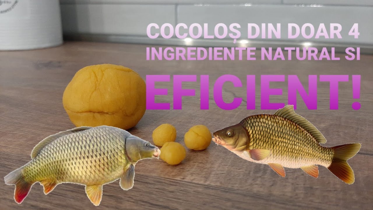 Reteta momeala COCOLOS| Crap/Caras(simplu, natural, EFICIENT)