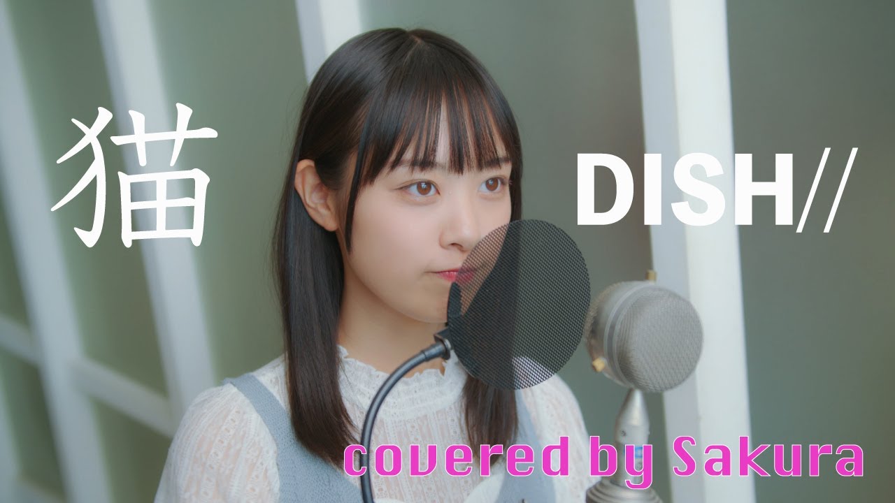 猫 - DISH//  covered by Sakura(50天)