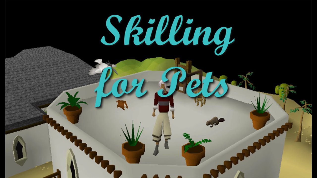 Skilling for Pets! Episode. 1