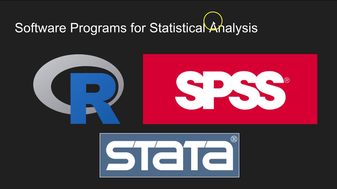 The Process of Quantitative Data Analysis