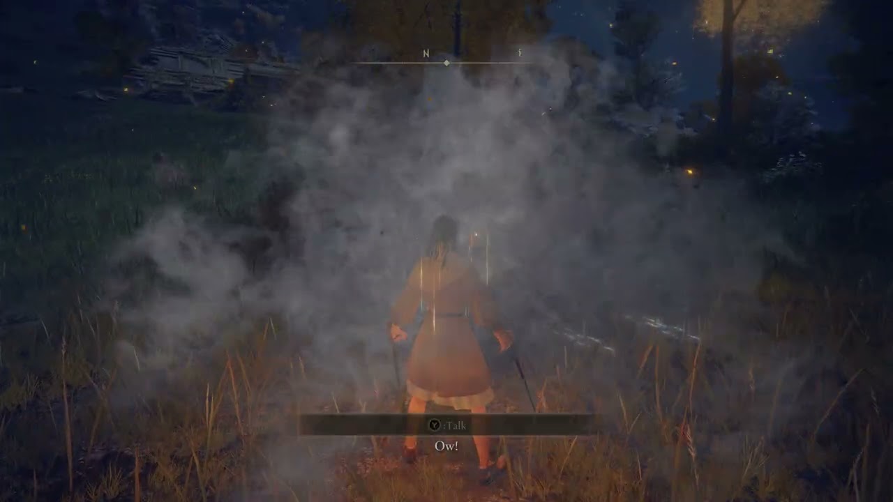 Rusty told me Pata is the new meta in Elden Ring DLC so I tried it out on a dragon