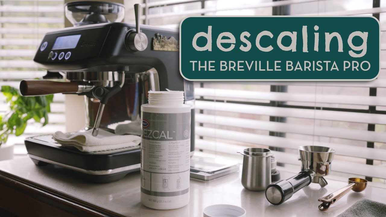 How to Descale the Breville Barista Pro (plus Flush Cycle or 