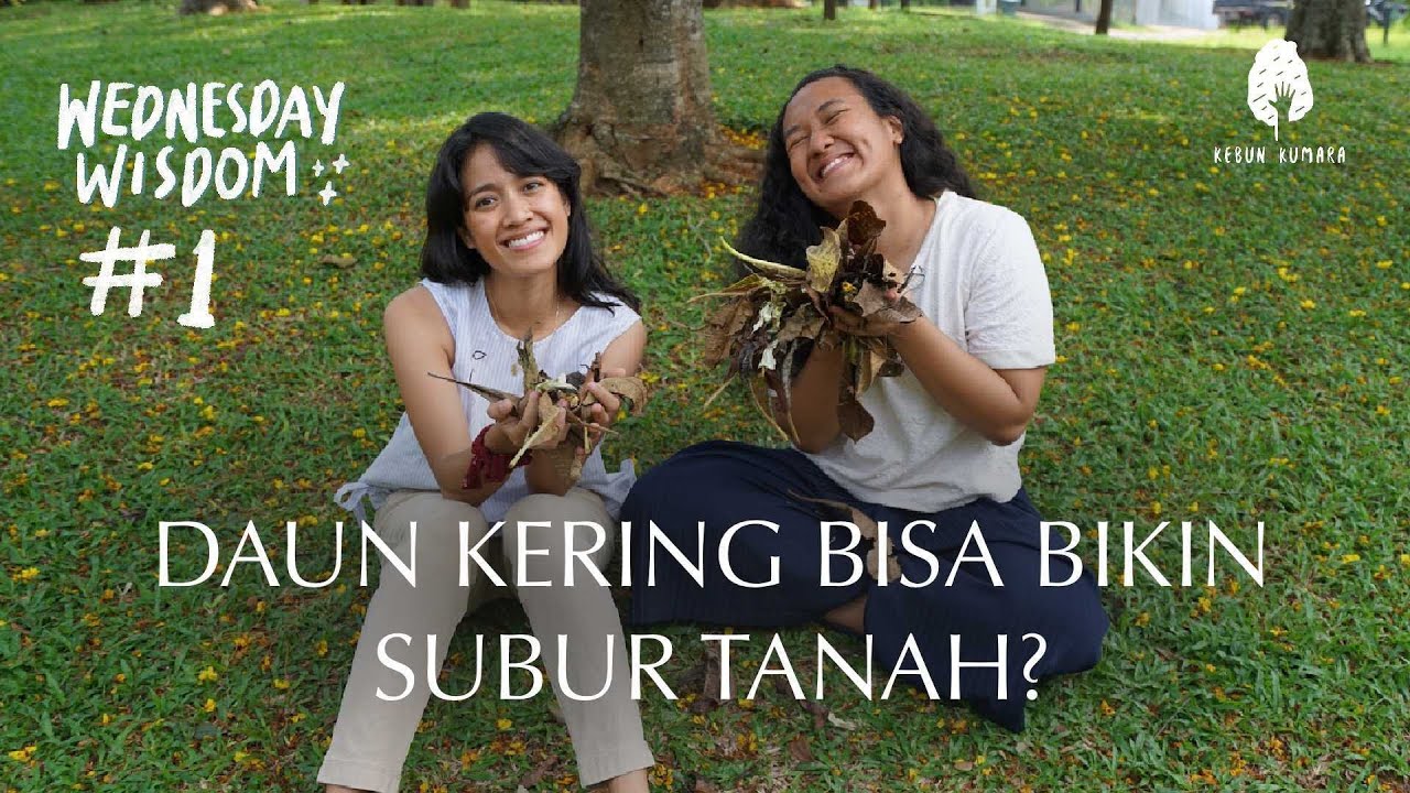 Daun Kering Bisa Bikin SUBUR Tanah??? 5 Manfaat Mulsa Organik!!
