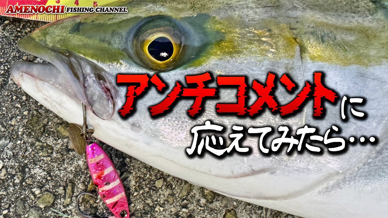 アンチコメントに応えてみたら、まさかの展開にびっくり！！